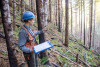 Post-fire vegetation survey WS1 2021
