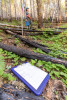 Post-fire vegetation survey WS1 2021