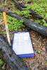 Post-fire vegetation survey WS1 2021