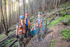 Post-fire vegetation survey WS1 2021