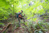Post-fire vegetation survey WS1 2021