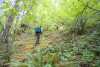 Post-fire vegetation survey WS1 2021