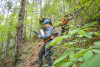Post-fire vegetation survey WS1 2021