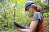 Post-fire vegetation survey WS1 2021