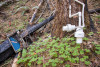 Post-fire vegetation survey WS1 2021