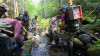 Mack Creek Vertebrates Study 2021