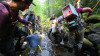 Mack Creek Vertebrates Study 2021