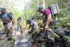 Mack Creek Vertebrates Study 2021