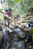 Mack Creek Vertebrates Study 2021