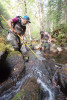 Mack Creek Vertebrates Study 2021