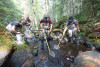 Mack Creek Vertebrates Study 2021