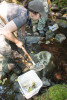 Mack Creek Vertebrates Study 2021