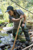 Mack Creek Vertebrates Study 2021