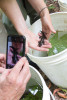 Mack Creek Vertebrates Study 2021