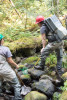 Mack Creek Vertebrates Study 2021