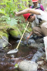 Mack Creek Vertebrates Study 2021