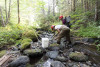 Mack Creek Vertebrates Study 2021