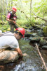 Mack Creek Vertebrates Study 2021
