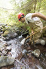 Mack Creek Vertebrates Study 2021