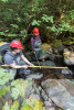 Mack Creek Vertebrates Study 2021