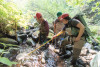 Mack Creek Vertebrates Study 2021