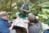 Mack Creek Vertebrates Study 2021