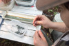 Mack Creek Vertebrates Study 2021