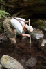 Mack Creek Vertebrates Study 2021