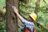 Pacific Northwest Permanent Sample Plot Program, Field work 2021
