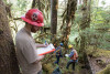 Pacific Northwest Permanent Sample Plot Program, Field work 2021