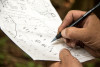 Pacific Northwest Permanent Sample Plot Program, Field work 2021