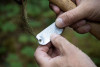 Pacific Northwest Permanent Sample Plot Program, Field work 2021