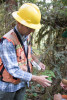 Pacific Northwest Permanent Sample Plot Program, Field work 2021
