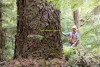 Pacific Northwest Permanent Sample Plot Program, Field work 2021