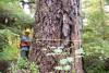 Pacific Northwest Permanent Sample Plot Program, Field work 2021