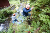 soil hydrology in Watershed 2