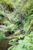 soil hydrology in Watershed 2
