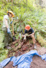 soil hydrology in Watershed 2