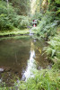soil hydrology in Watershed 2