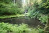 soil hydrology in Watershed 2