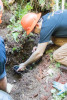 soil hydrology in Watershed 2