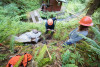 soil hydrology in Watershed 2