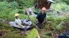 soil hydrology in Watershed 2