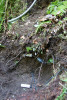 soil hydrology in Watershed 2