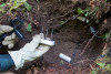 soil hydrology in Watershed 2