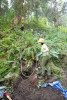soil hydrology in Watershed 2