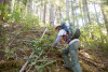 Tree growth and survival: the influence of disturbance and elevation