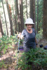 Tree growth and survival: the influence of disturbance and elevation