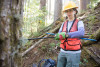 Tree growth and survival: the influence of disturbance and elevation