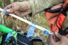 Tree growth and survival: the influence of disturbance and elevation